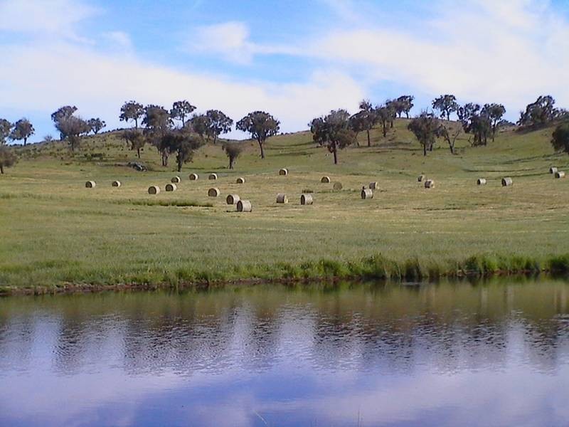 - Gowan Road, Gowan NSW 2795