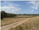 - Gowan Road, Gowan NSW 2795