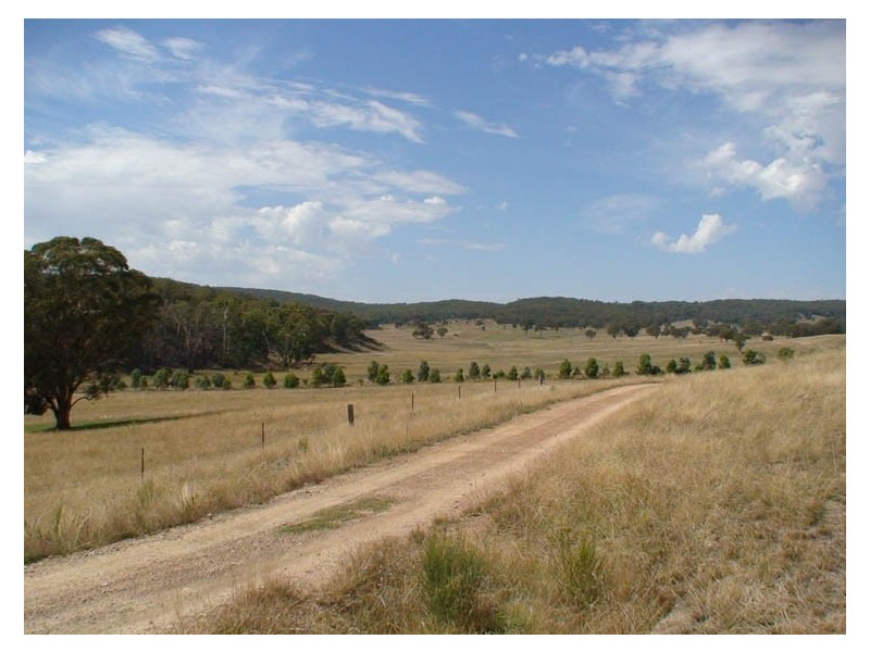 - Gowan Road, Gowan NSW 2795