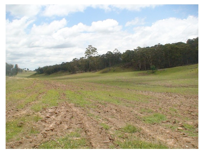 - Gowan Road, Gowan NSW 2795