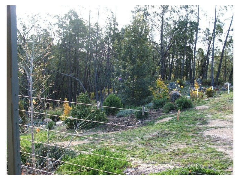 341 Horton Drive, Woodstock NSW 2793