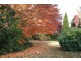 Lot 4, 80 Forbes Road, Orange NSW 2800