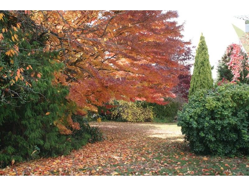 Lot 4, 80 Forbes Road, Orange NSW 2800