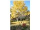 Lot 4, 80 Forbes Road, Orange NSW 2800
