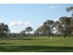 Cudal Gardens, Cudal NSW 2864