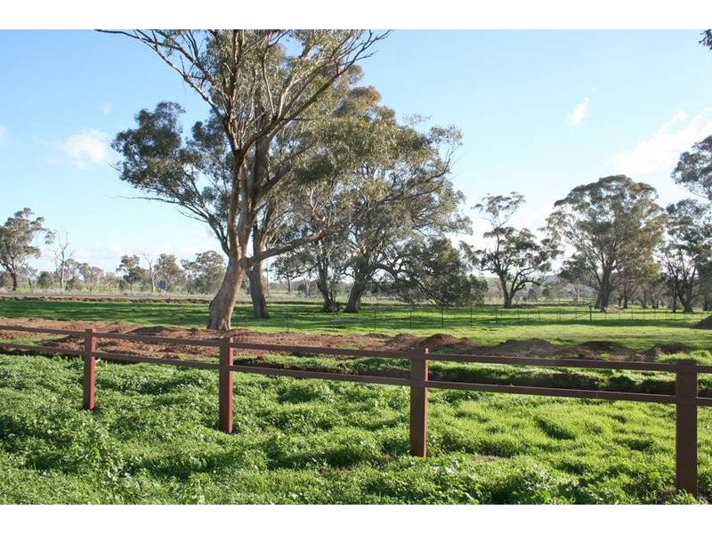 Cudal Gardens, Cudal NSW 2864