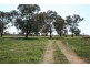 Cudal Gardens, Cudal NSW 2864