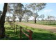 Cudal Gardens, Molong NSW 2866