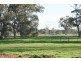 Cudal Gardens, Molong NSW 2866