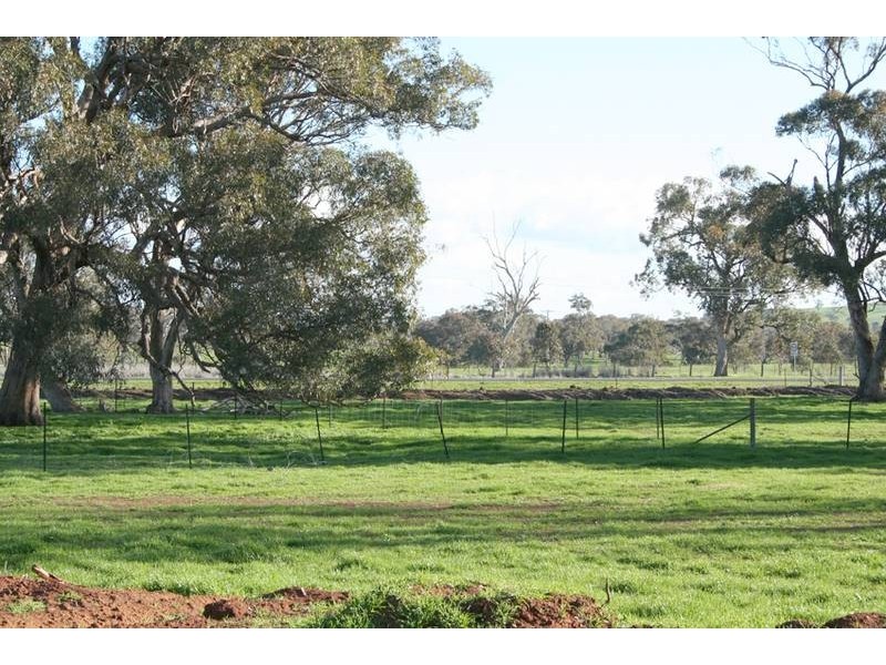 Cudal Gardens, Molong NSW 2866