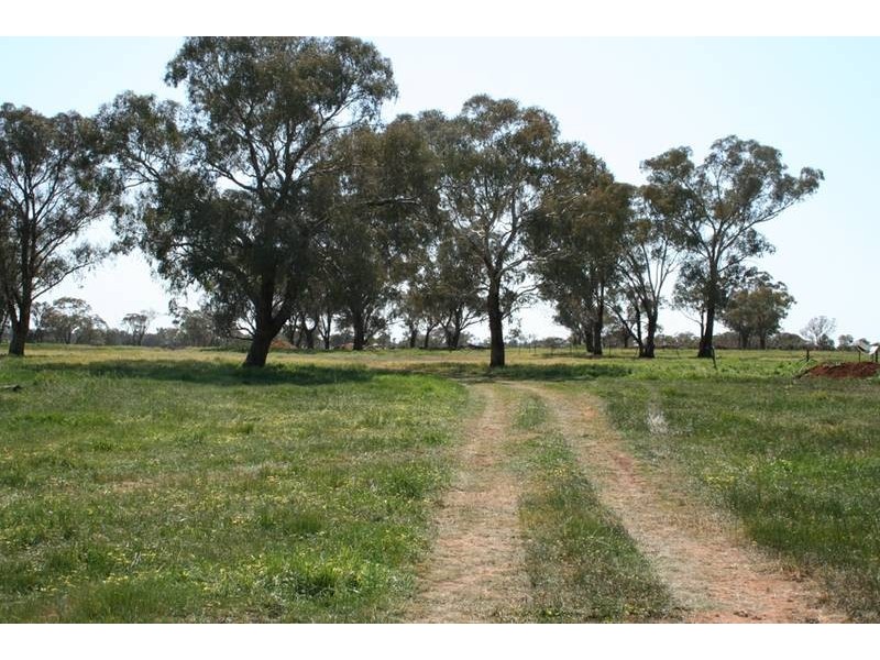 Cudal Gardens, Molong NSW 2866