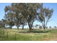 Cudal Gardens, Molong NSW 2866
