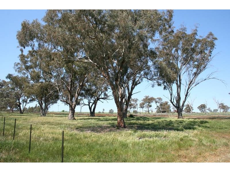 Cudal Gardens, Molong NSW 2866
