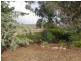 - Mitchell Highway, Molong NSW 2866