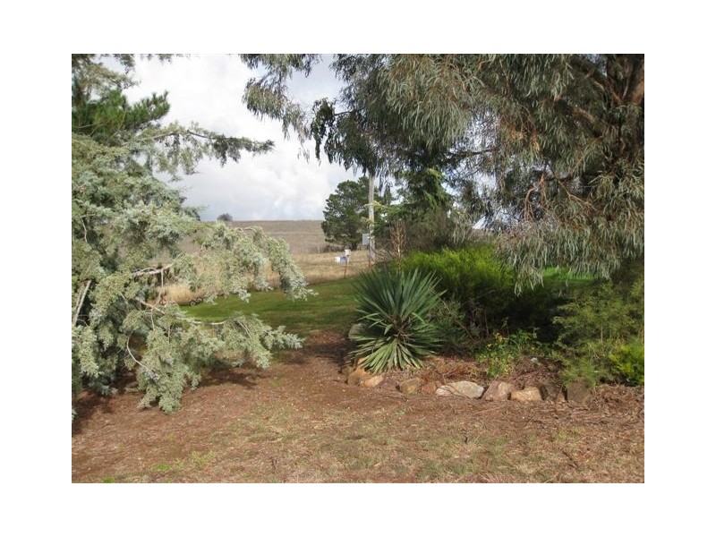 - Mitchell Highway, Molong NSW 2866