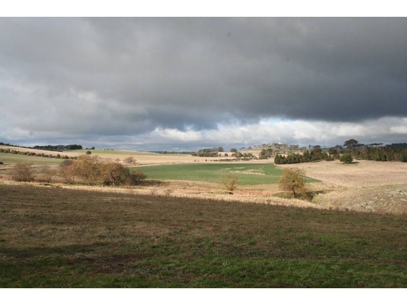 329 Browns Creek Road, Blayney NSW 2799