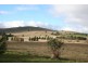 329 Browns Creek Road, Blayney NSW 2799