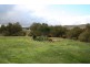 329 Browns Creek Road – Blayney, Orange NSW 2800