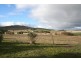 329 Browns Creek Road – Blayney, Orange NSW 2800
