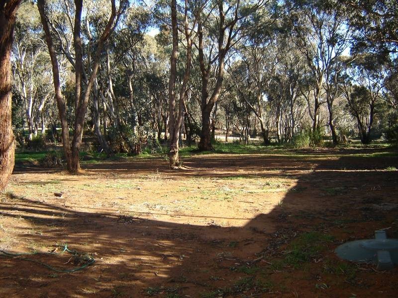 50 Peach Street, Mandurama NSW 2792