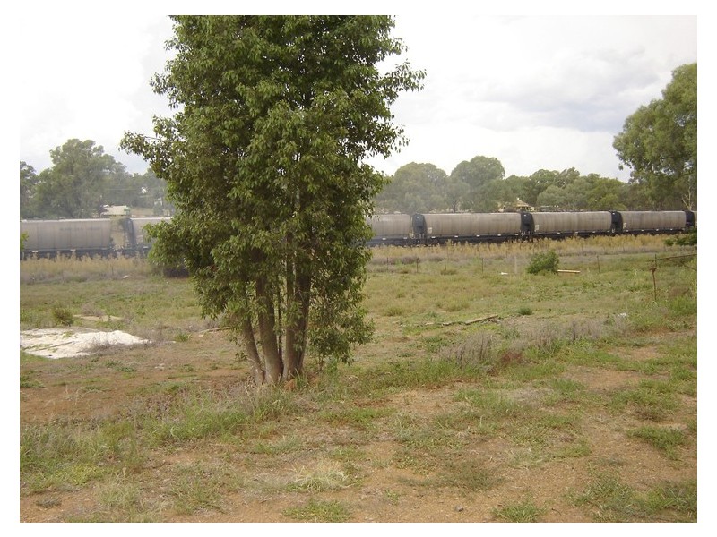 19 Orange Road, Manildra NSW 2865