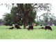 - Coonamble, Coonamble NSW 2829
