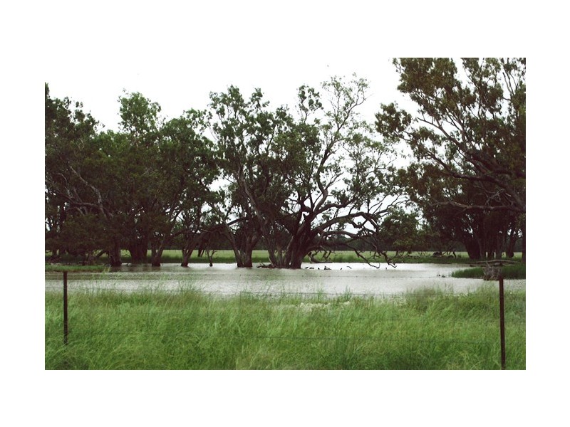 - Coonamble, Coonamble NSW 2829
