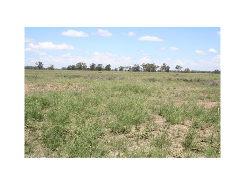 - Coonamble, Coonamble NSW 2829