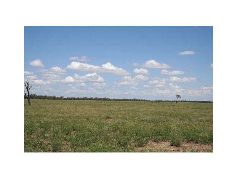 - Coonamble, Coonamble NSW 2829