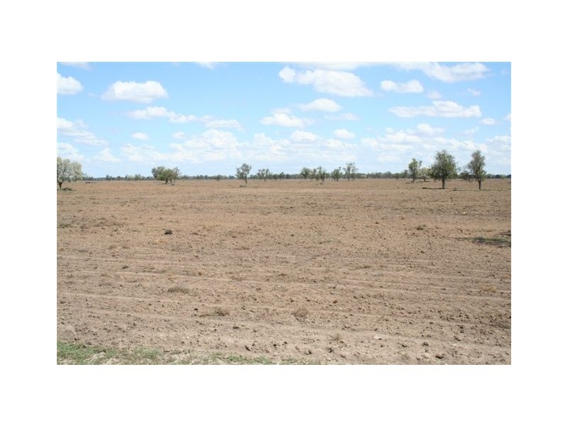 - Coonamble, Coonamble NSW 2829