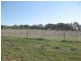 Lot 231 South Bowen Road, Cargo NSW 2800