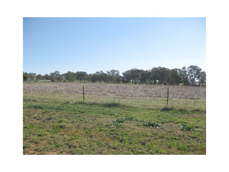 Lot 231 South Bowen Road, Cargo NSW 2800