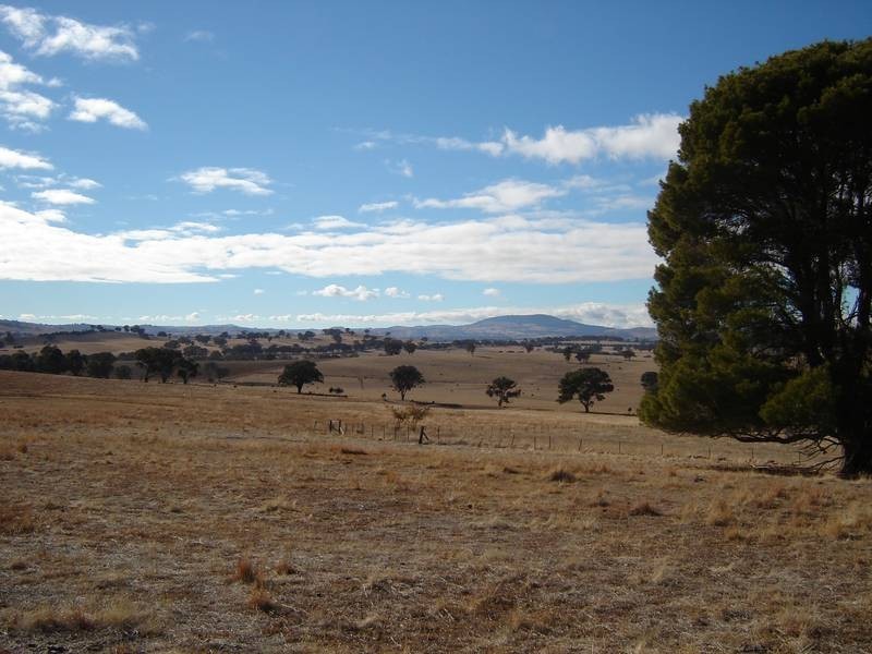 50 Kenny’s Lane, Lyndhurst NSW 2797