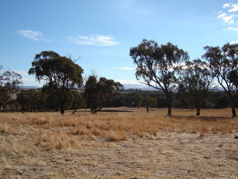 50 Kenny’s Lane, Lyndhurst NSW 2797