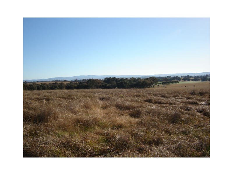 50 Kenny’s Lane, Lyndhurst NSW 2797