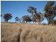 50 Kenny’s Lane, Lyndhurst NSW 2797
