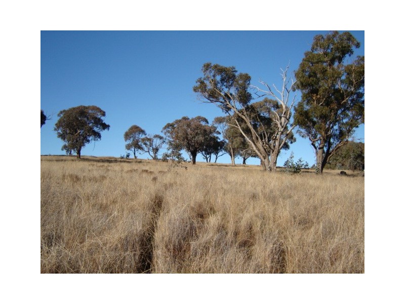50 Kenny’s Lane, Lyndhurst NSW 2797
