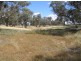 Lot 4 Stapletons Road, Molong NSW 2866
