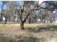 Lot 4 Stapletons Road, Molong NSW 2866