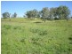 “No Worries” Kurrajong Road, Manildra NSW 2865