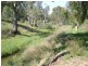 “No Worries” Kurrajong Road, Manildra NSW 2865