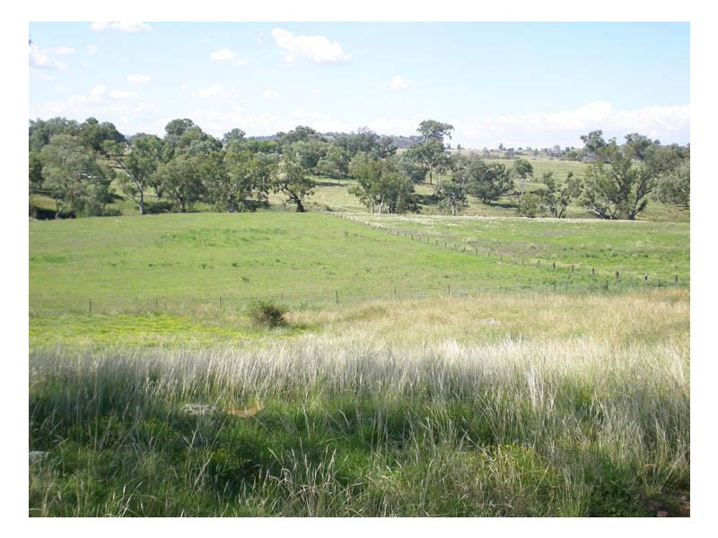 “No Worries” Kurrajong Road, Manildra NSW 2865