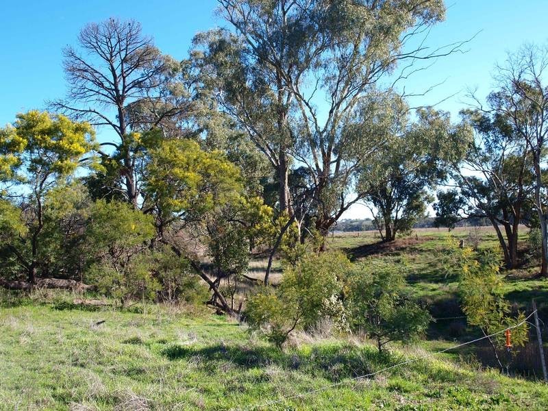 9 Brooks Lane, Garra NSW 2866