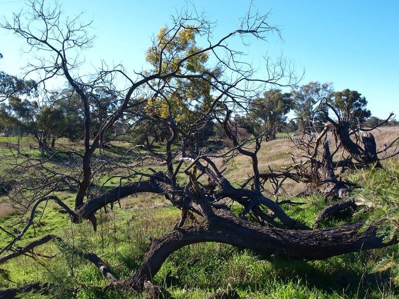 9 Brooks Lane, Garra NSW 2866