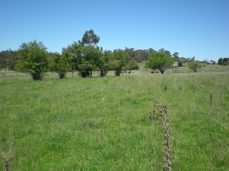 23 Park Road, Orange NSW 2800