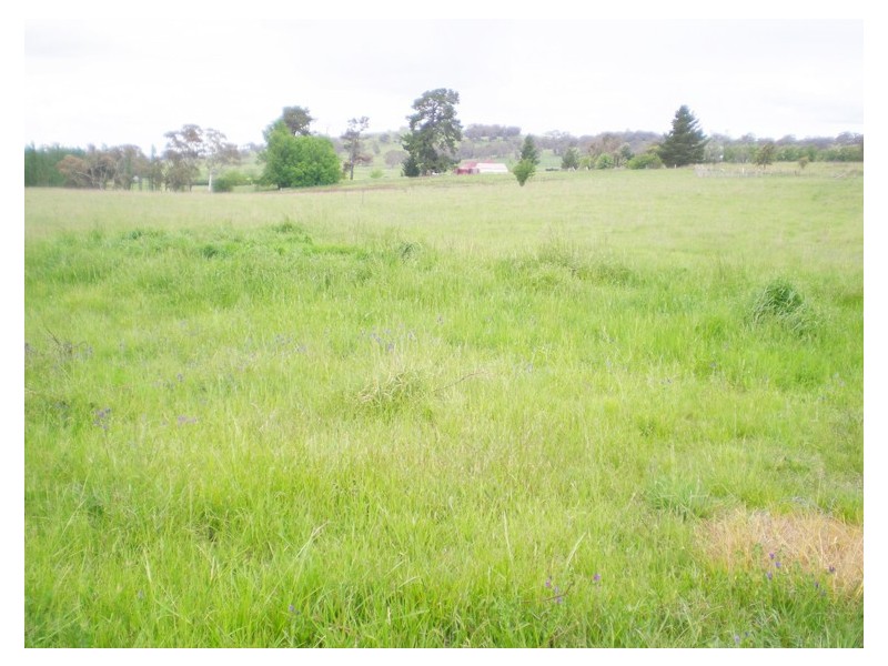 213 East Guyong Road, Orange NSW 2800