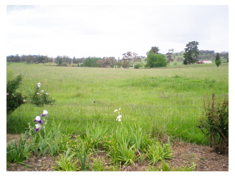 213 East Guyong Road, Orange NSW 2800