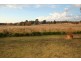 213 East Guyong Road, Orange NSW 2800