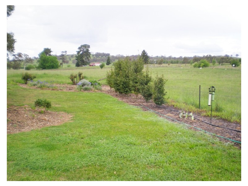 213 East Guyong Road, Orange NSW 2800