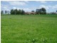 213 East Guyong Road, Orange NSW 2800